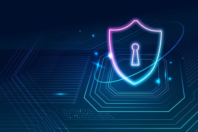 Physical Asset Protection for Businesses: Safes, Security, and Insurance